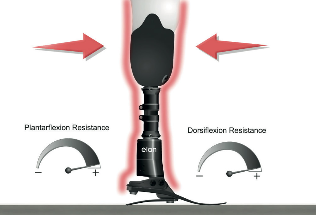 New Elan Standing Support